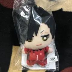 ハイキュー‼︎×サンリオキャラクターズ ちみっともぬい　vol.1 黒尾鉄朗