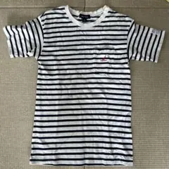 Nautica ストライプ Tシャツ XL