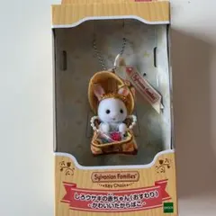 シルバニアしろうさぎの赤ちゃん・かわいいたからばこ・新品！