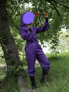 忍たま コスプレ 平滝夜叉丸 ウィッグのみ - メルカリ