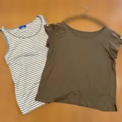 BLUE LABEL CRESTBRIDGE 半袖Tシャツ 38 ブラウン