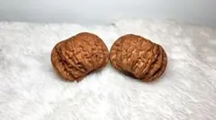 しゅう様 リクエスト 4点 まとめ商品