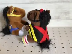 競馬　アイドルホースの洋服　リバティアイランド