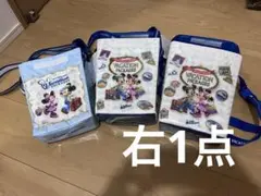東京ディズニーリゾート バケーションパッケージ ポップコーンバケット ミッキー