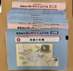 m⭐︎様専用　理英会　ばっちりくん　基礎　応用　未記入