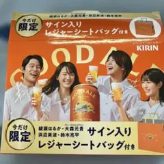綾瀬はるか、大森元貴、浜辺美波、鈴木亮平サイン入りレジャーシートバッグのサムネイル