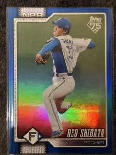 2026年最新】topps 2024 ベースボールカード baseball japanの人気 