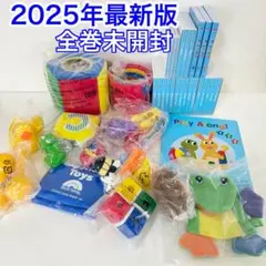 【全巻未開封】2025年最新版 プレイアロング・セット　DWE ディズニー英語のサムネイル