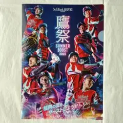 【未使用】福岡ソフトバンクホークス クリアファイル A4 鷹祭 サマーブースト