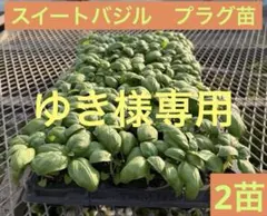 ゆき様 リクエスト 5点 まとめ商品