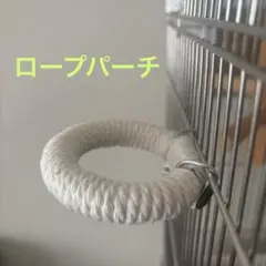 Item thumbnail for item e8546145-52f7-42c9-8c62-7c37923b2f29