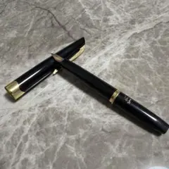 TK】プラチナ万年筆 14K 細字 ブラック 革巻き ヴィンテージ - メルカリ