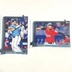 MLB topps マーリンズ Javier Sanoja Eury Perez