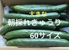 新鮮野菜詰め合わせ 旬のきゅうりセットのサムネイル