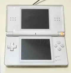 ニンテンドーDS Lite　本体＋おいでよどうぶつの森＋充電器