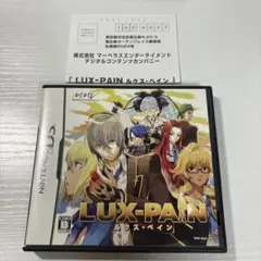 美品　ハガキ付き　ルクス・ペイン　端子清掃済み　DSソフト