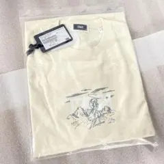 ボックスロゴ Tシャツ