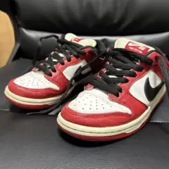 Nike SB Dunk Low Chicago