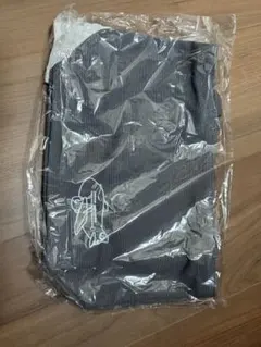 JAL ランチトートバッグ ミニタオル セット