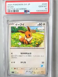イーブイ バトルアカデミー psa10