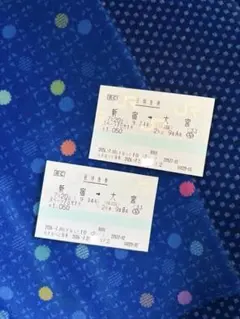 【使用済み】マルス券×2 スペーシア日光JR東日本 新宿〜大宮 2枚セットのサムネイル