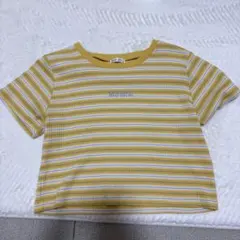 COLZA ボーダー 半袖 Tシャツ イエロー