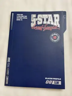 straykids I.N アイエン　5-star プロフィールセット