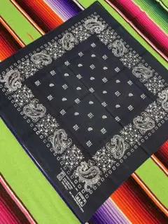 【激レア】ロードオブドッグタウン　UMD コレクション 2025年最新】ロードオブドッグタウンの人気アイテム - メルカリ