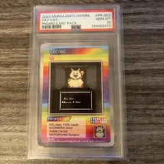 2023 村上隆 英語 Anatomy プロモ #PR-004 PSA 10 - メルカリ