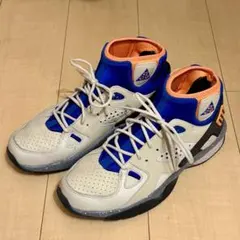 NIKE ACG エア モワブ US:9のサムネイル