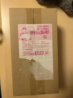 ポケモンセンター スペシャルBOX ヒロシマ　【５月出荷分】