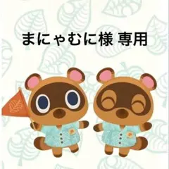 どうぶつの森 amiiboカード チョコ 145 あつ森