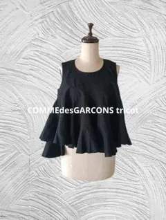 2026年最新】tricot COMME des GARCONS レディース チュニックの人気