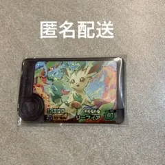 ポケモンフレンダ　リーフィア　ベストタッグ4弾　ワンダーピック
