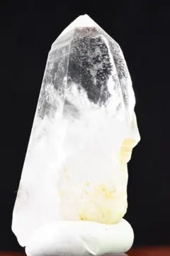 ガネッシュヒマール　アイリス虹たっぷり　トライゴーニック▽ 2025年最新】トライゴーニックの人気アイテム - メルカリ