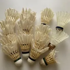バドミントン中古シャトル 10球セット - メルカリ