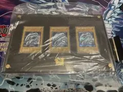 遊戯王 ブラックマジシャン 応募当選品 スペシャルイラスト 2500枚限定