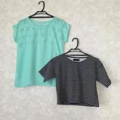 ボーダー　ジーナシス  トップス