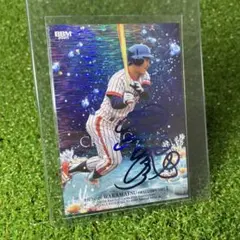 ぶぅ様 リクエスト 2点 まとめ商品