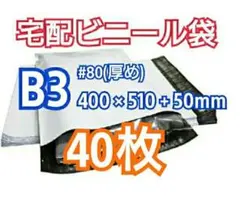 Item thumbnail for item a8697b6f-a8da-4c59-bf02-64d0bd37c6ed