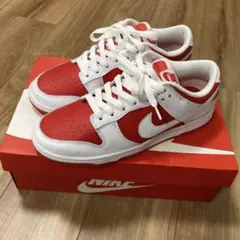 新品☆定価13200円NIKE DUNK LOW RETROナイキ裏ダンク