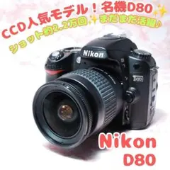 ショット数極小 Nikon D80 スマホ転送OK 初心者向け 本格一眼レフ