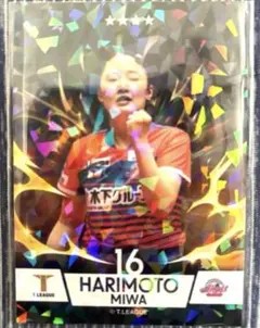 Item thumbnail for item 4003bcbf-9b76-4e06-9f8f-6e03555bee26