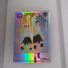 烏野高校(日向 翔陽　影山 飛雄) ハイキュー きゃらくたぶるカードグミ