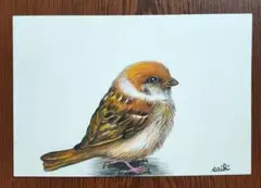 とっちみなぽん様 リクエスト 2点 まとめ商品