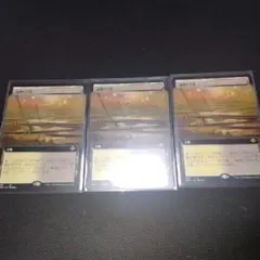 湿地の干潟　日本語　拡張　3枚セット　モダンホライゾン　コレクターブースター