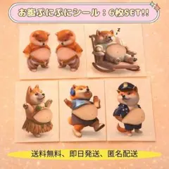 【激安✨】柴犬シール 3D 立体 ハワイ ぷくぷく 6枚