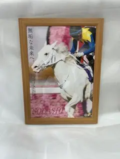 A4サイズ　Sodashi ソダシ JRA 競馬 額縁セット　ポスター