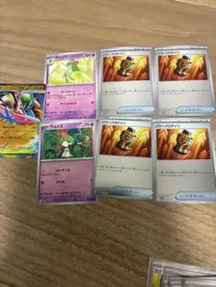 メガエルレイドセット　パワープロテイン