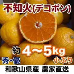 【秀・優】和歌山県産 不知火(デコポン) 約4～5kg 農家直送！まとめ買い◎